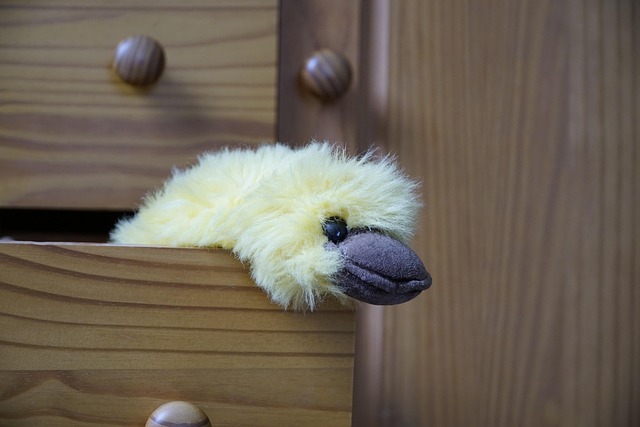 Collection of antique mahogany and oak furniture in a grand room, Georgian chest of drawers, Chippendale chair, warm lighting